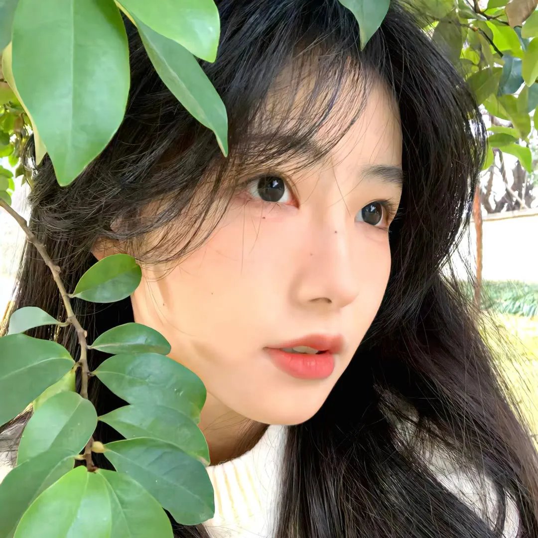 酷爱电影的庞波小姐
